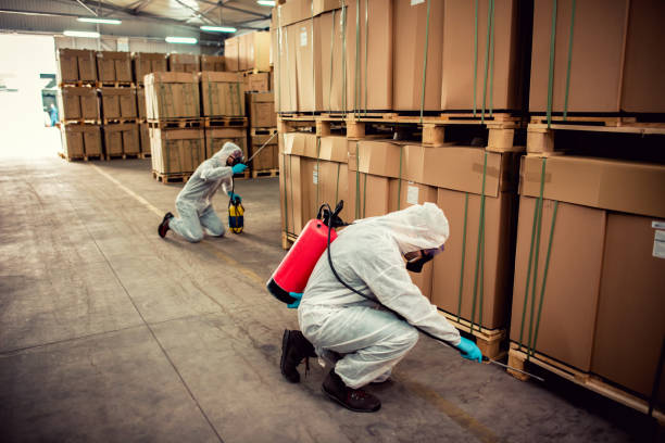 Pest Prevention Services in Grapevine, TX
