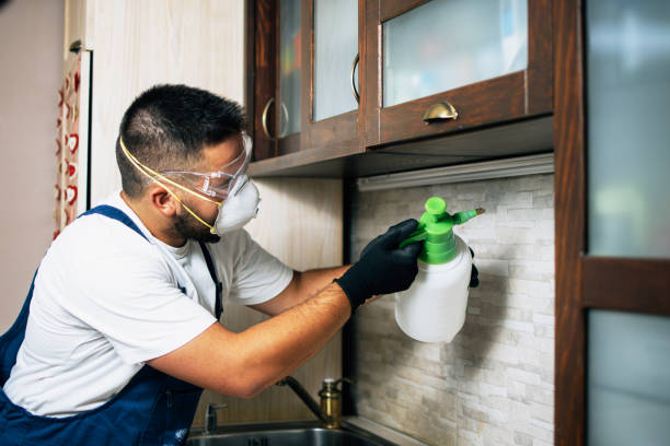 Best Affordable Pest Control Services  in Grapevine, TX