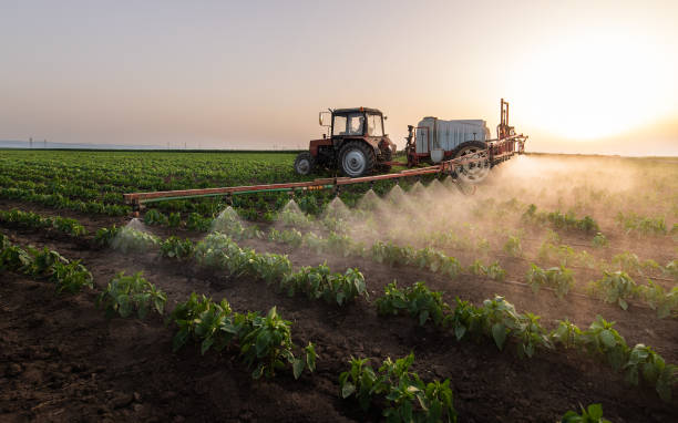 Best Best Pest Control Companies  in Grapevine, TX