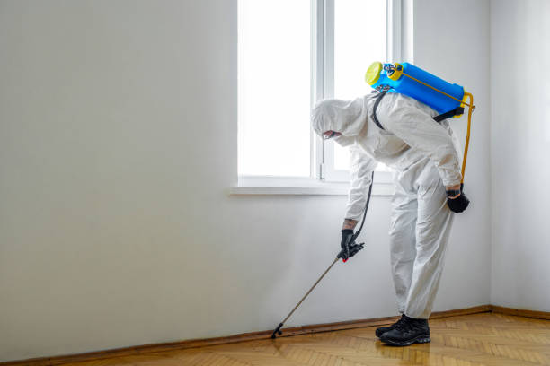 Reliable Grapevine, TX Pest Control Solutions