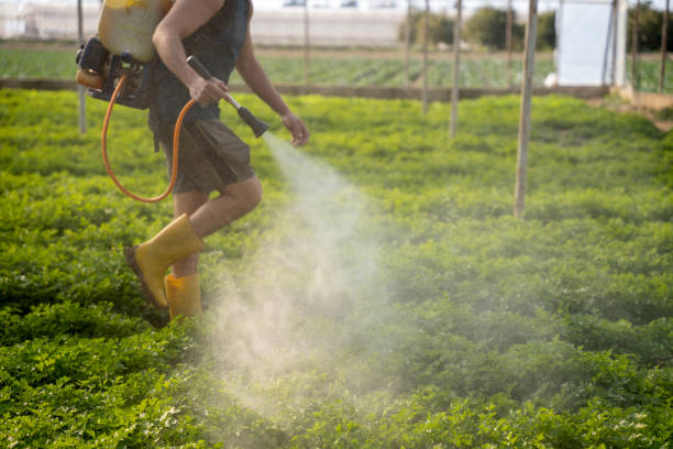  Grapevine, TX Pest Control Pros