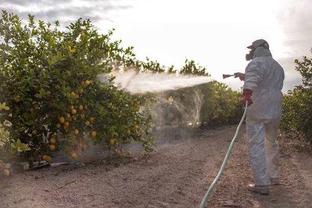 Best Residential Pest Control  in Grapevine, TX
