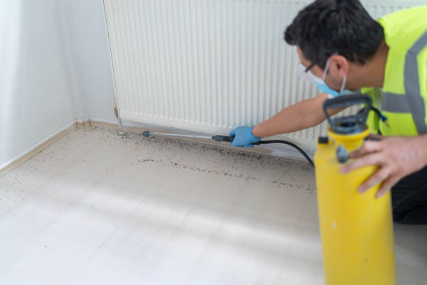 Best Emergency Pest Control  in Grapevine, TX