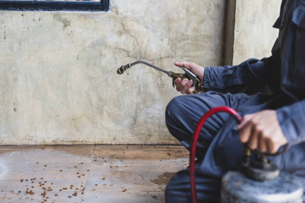 Best Best Pest Control Near Me  in Grapevine, TX